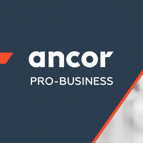 ANCOR Pro-Business: HR-вызовы в недвижимости в 2023 году